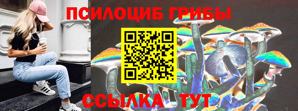 Гуково  Галлюциногенные грибы Cubensis  Вход с VPN 